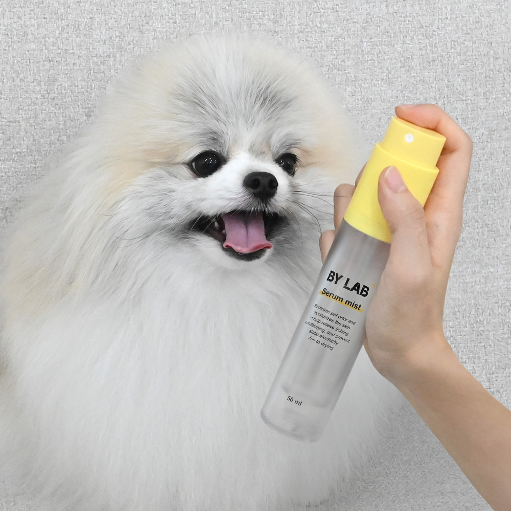 강아지 피부와 털 건강을 위한 세럼 미스트, 이렇게 써보세요!