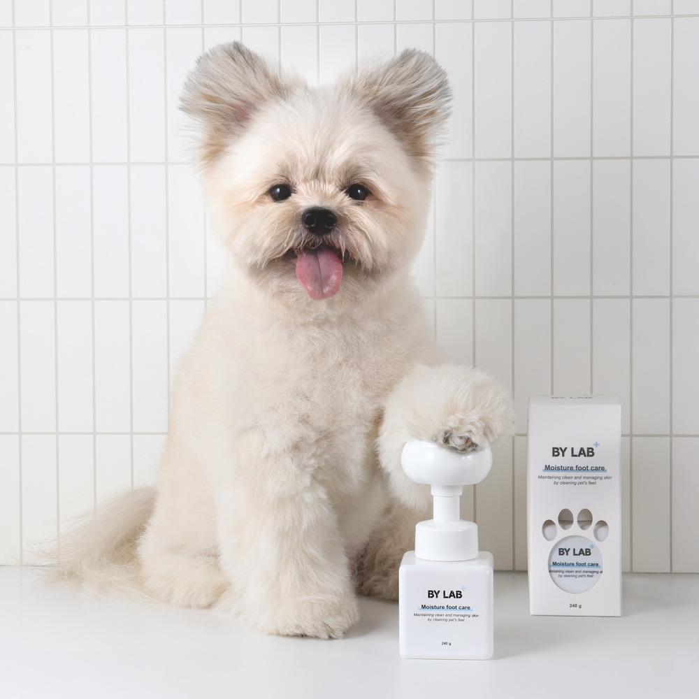 강아지 발바닥 세정이 이렇게 쉬울 줄 몰랐어요! 수분 가득 케어 제품 추천