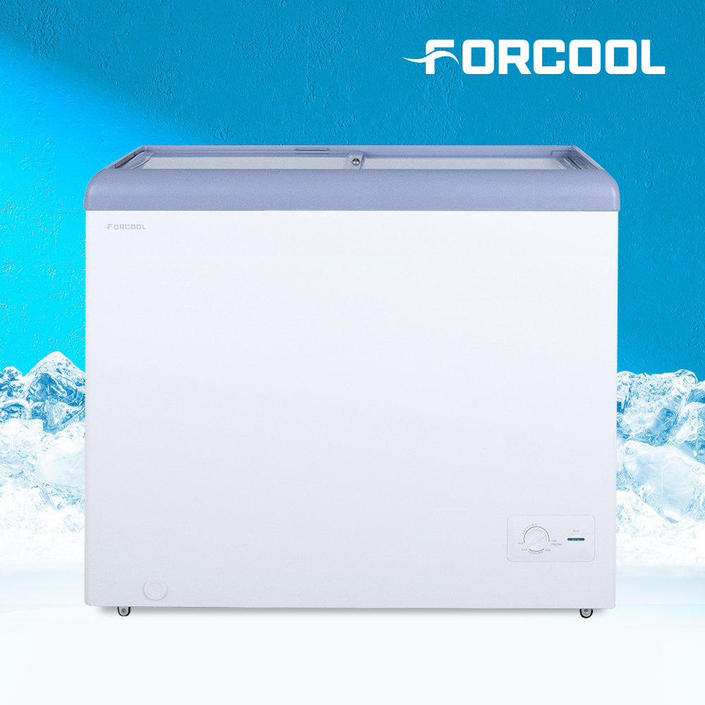 가게에서 딱 맞는 아이스크림 냉장고, 이렇게 선택하세요!