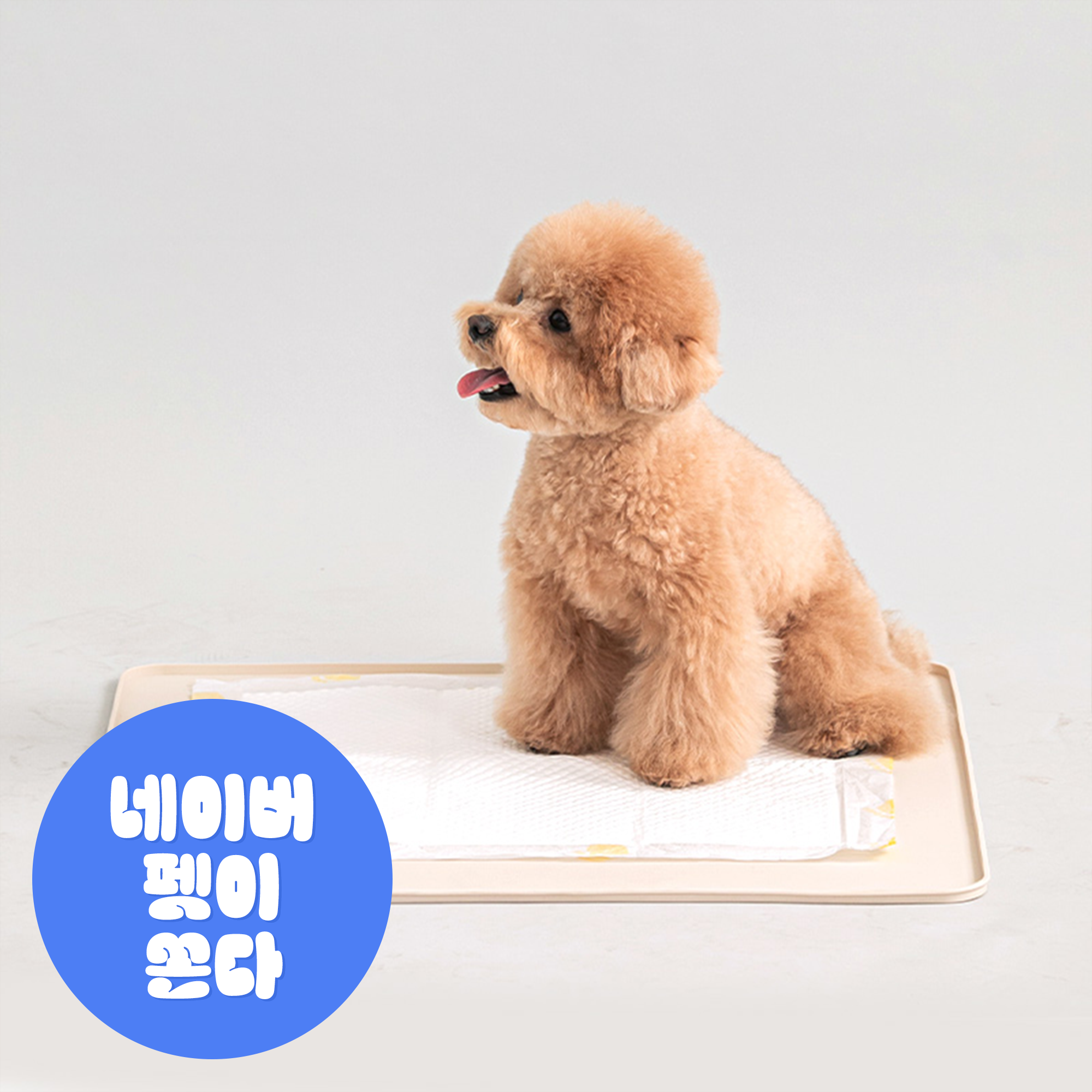 강아지 배변 훈련에 딱! 실리콘 소재의 편리한 배변매트 추천