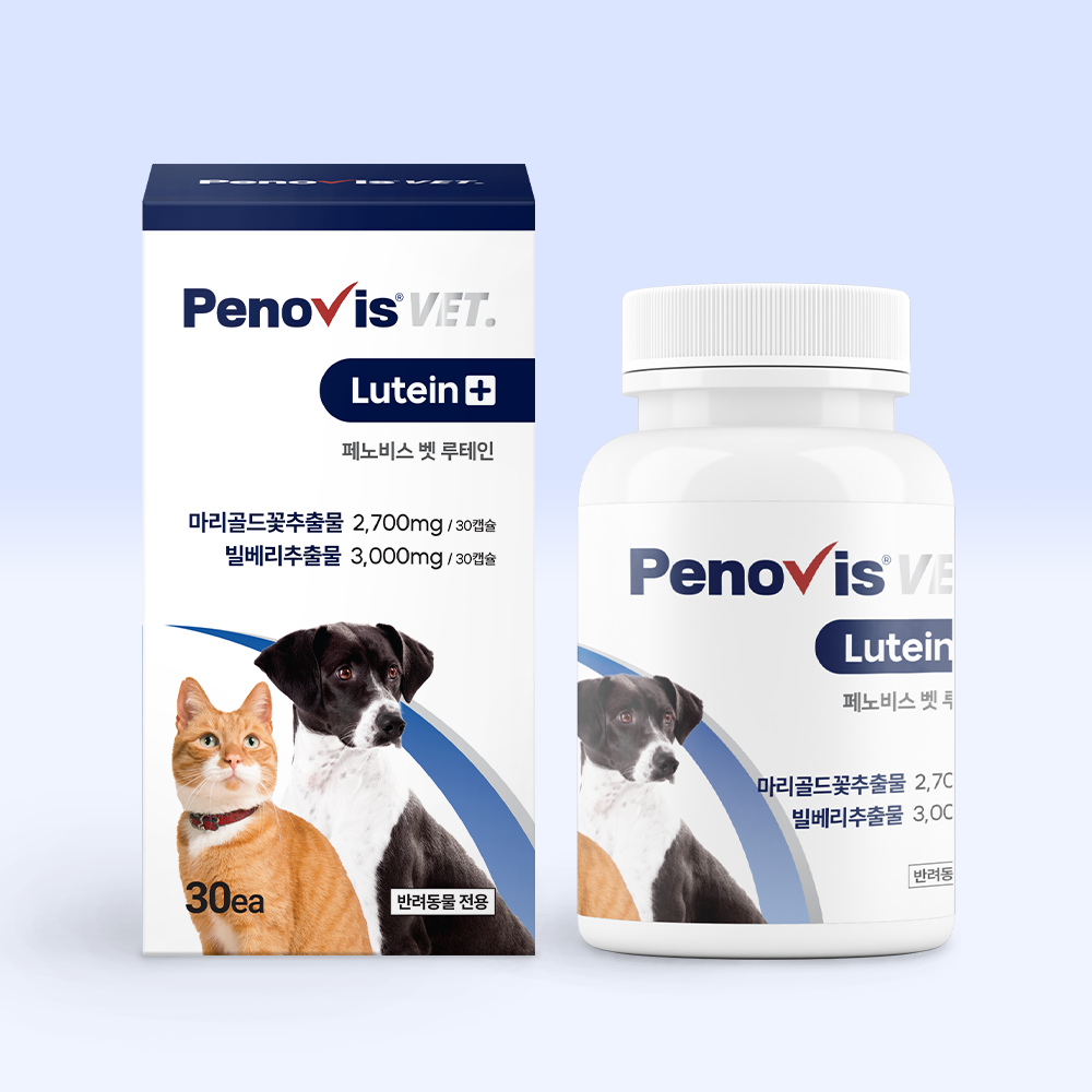 반려동물 눈 건강을 챙기는 간단한 방법, 눈영양제 추천!