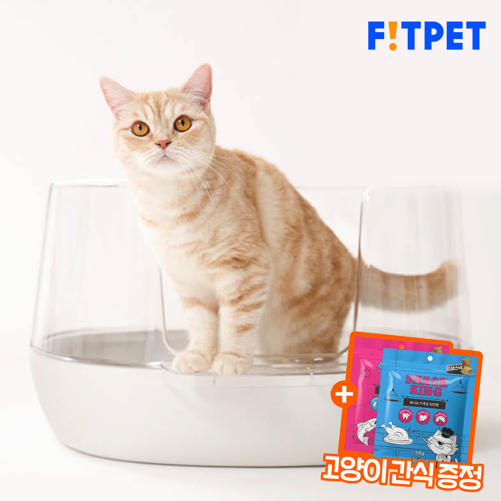 우리 집 고양이도 좋아하는 투명 배변통, 이렇게 선택했어요!