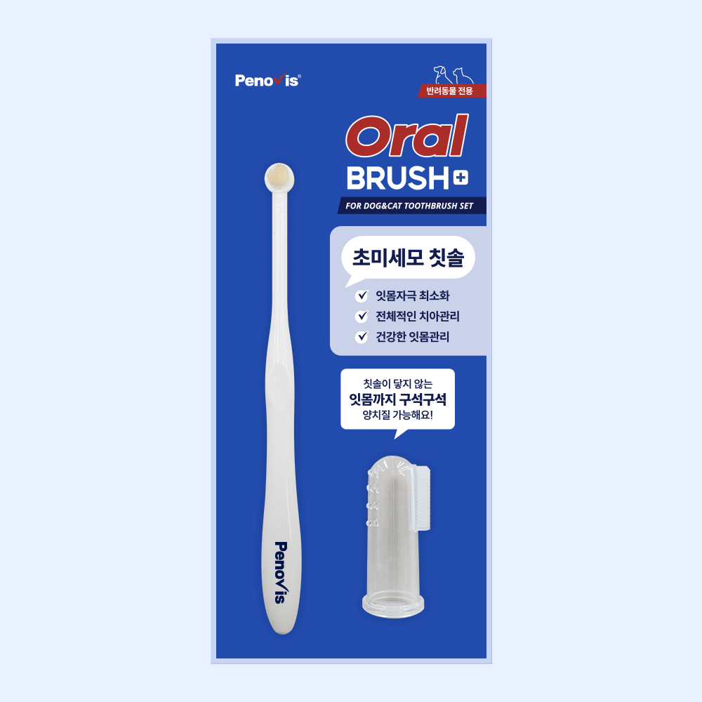 반려동물 치아 건강, 이렇게 챙기면 좋아요! 쉽고 간편한 칫솔 추천