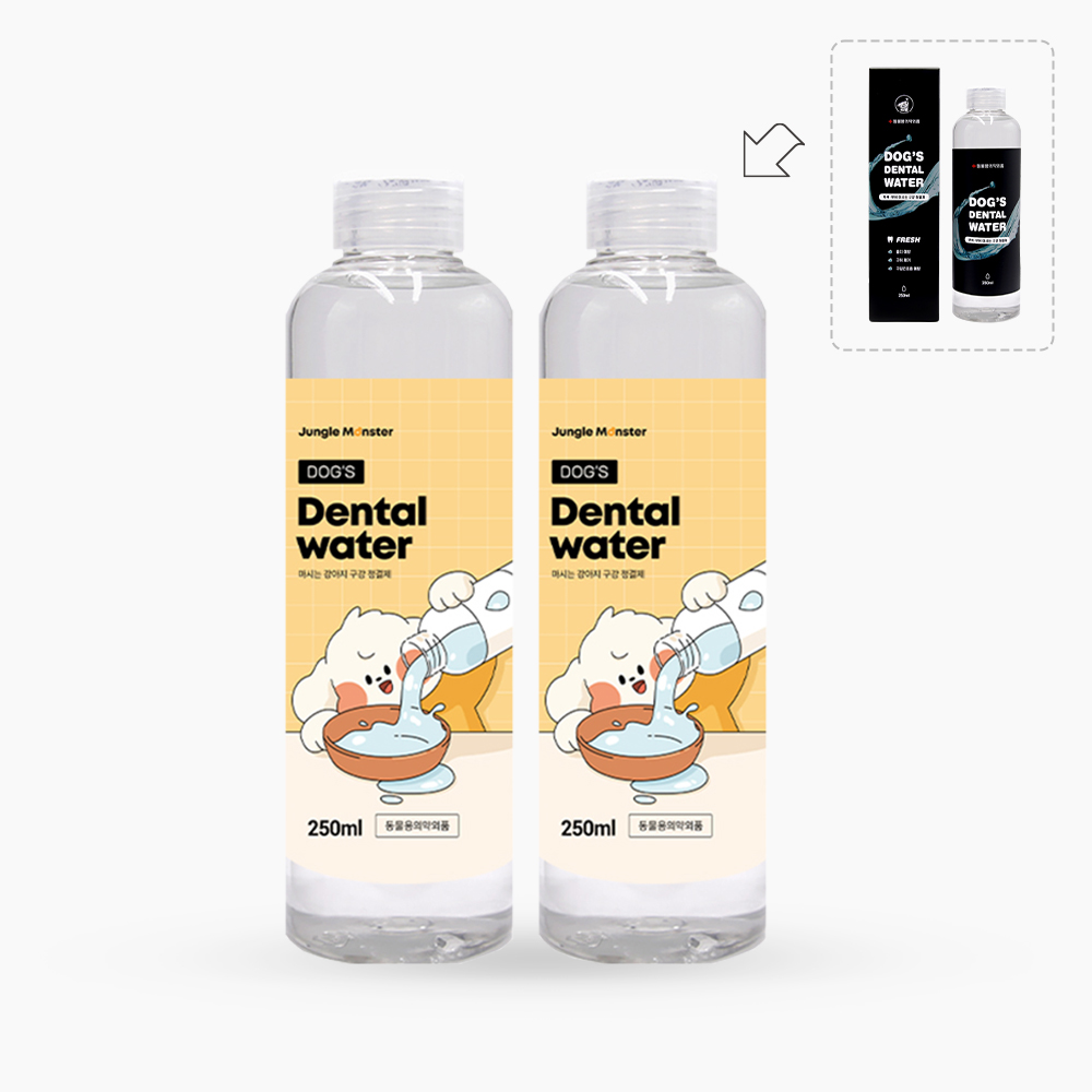 강아지 입냄새와 치석 걱정 끝! 간편하게 치아 관리하는 방법