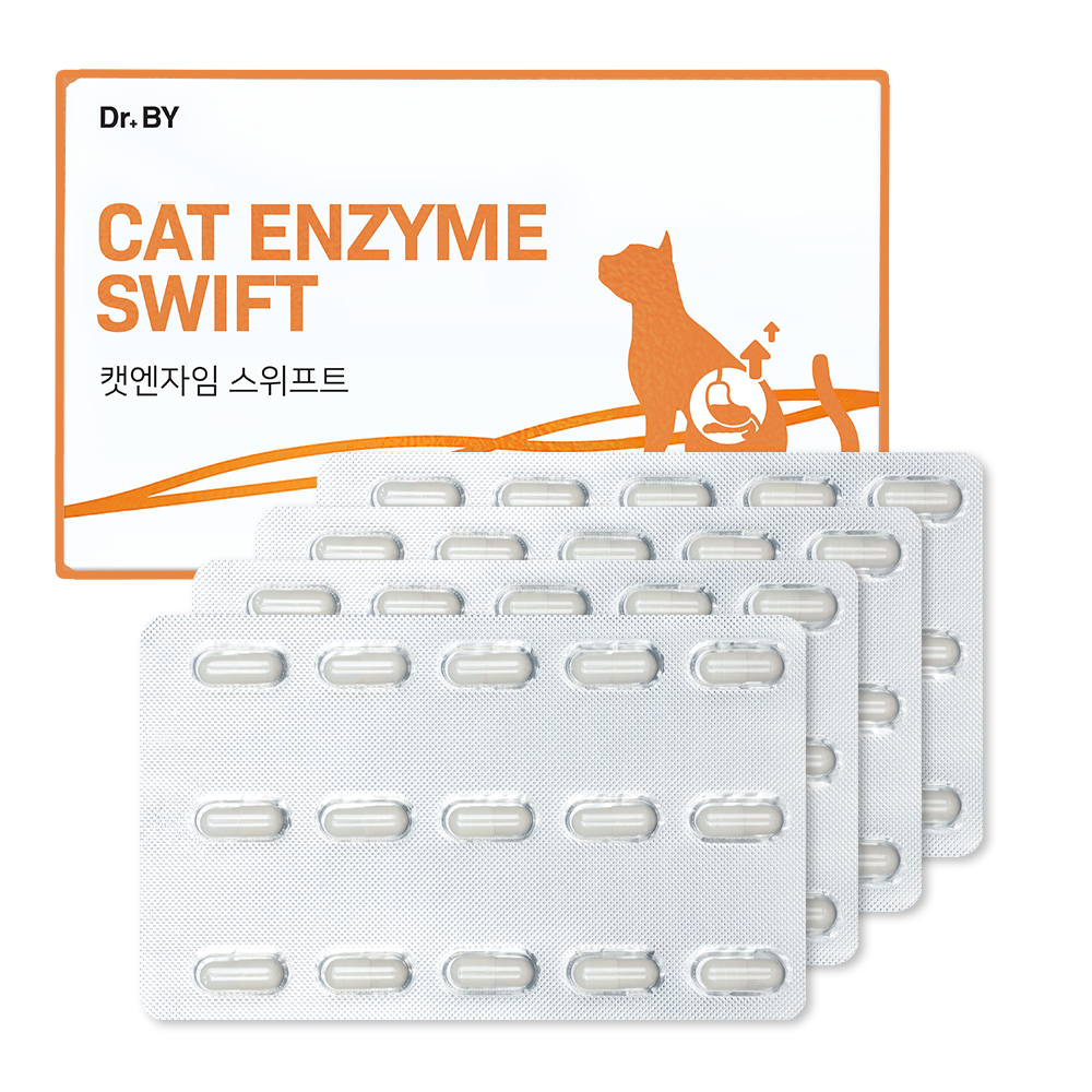고양이 소화 건강을 위한 친근한 영양제 추천, 닥터바이 캣엔자임 스위프트