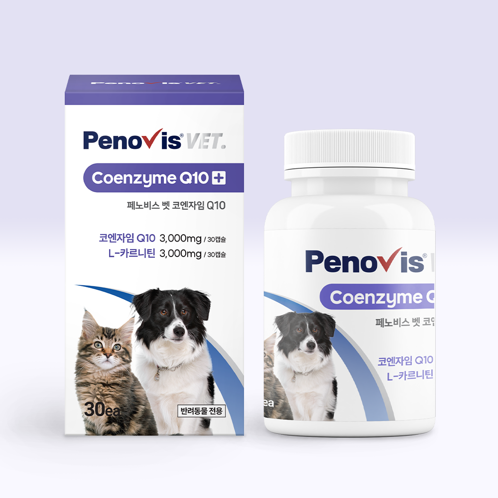반려견과 고양이 건강을 위한 영양제, 이렇게 선택하세요!