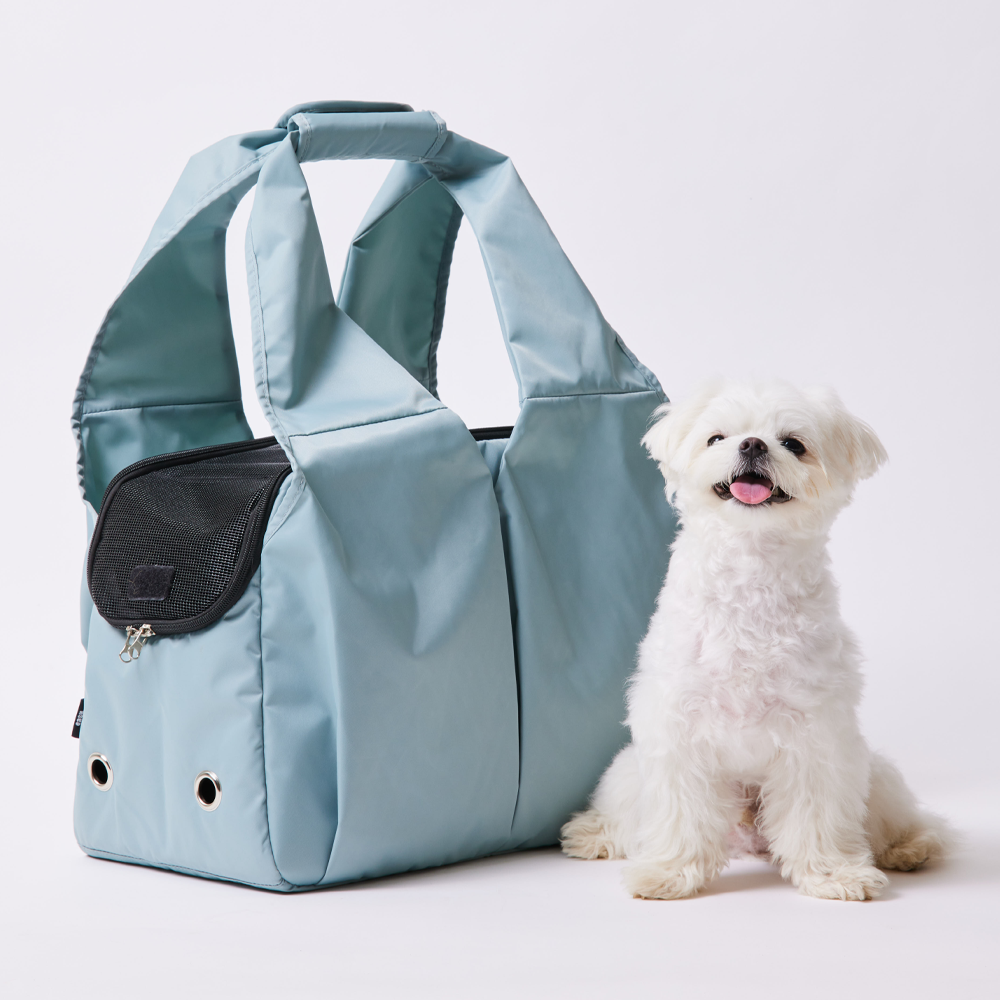 강아지와 고양이 이동이 편한 캐리어, 집에서도 여행갈 때도 딱 좋아요!