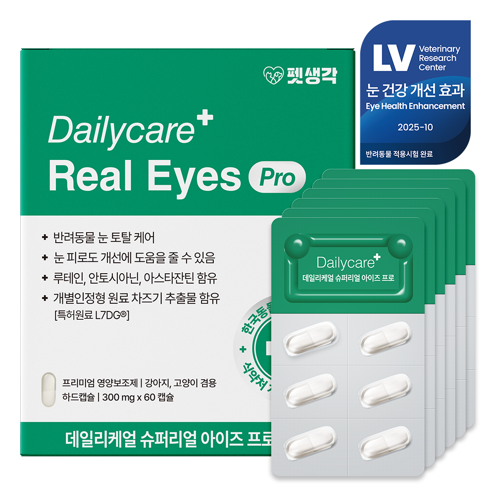 강아지 눈 건강을 위한 영양제, 이렇게 선택하세요!