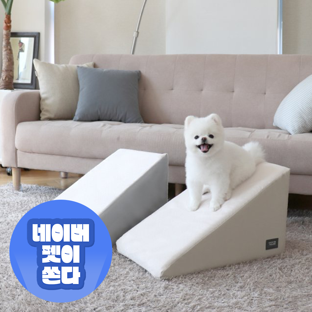 강아지 계단과 슬라이드, 안전하게 사용할 수 있는 방법 알려드릴게요!