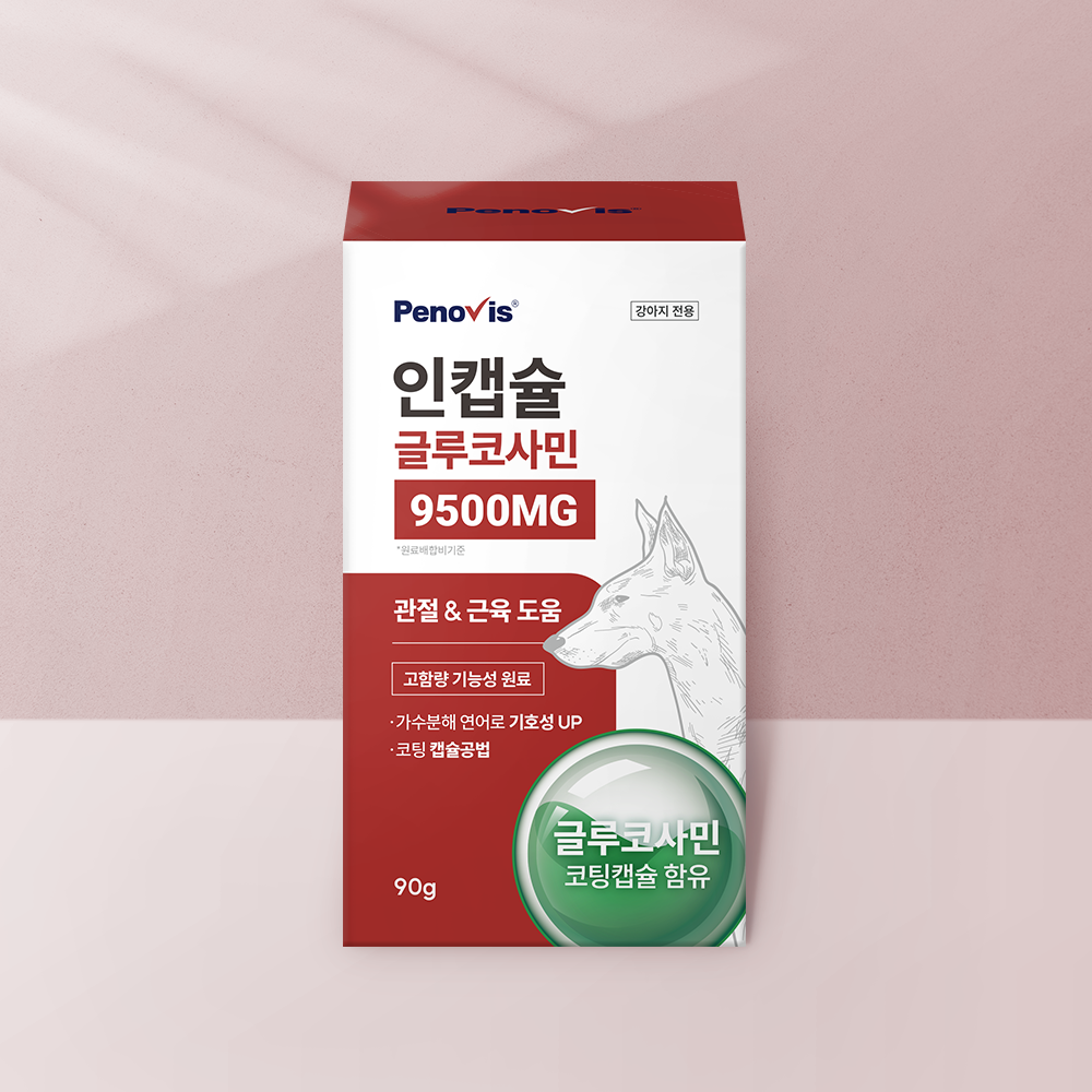 강아지 관절 건강을 위한 영양제, 이렇게 선택하세요!