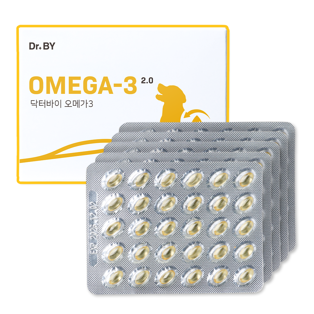 강아지 피부와 관절, 심장을 위한 영양제 추천! 오메가3로 건강 챙기기