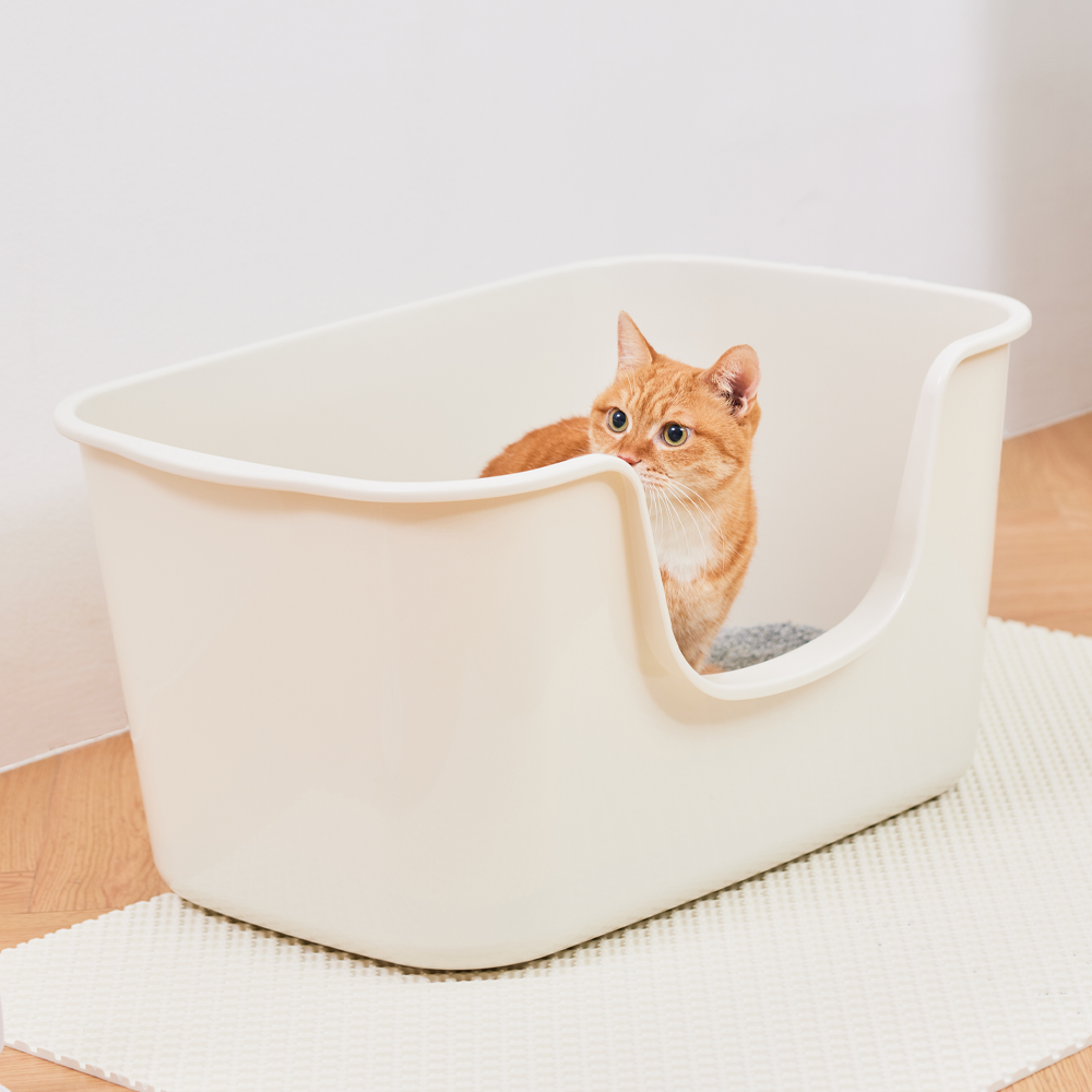 가볍고 넉넉한 크기의 감자밭 고양이 화장실 추천해요!