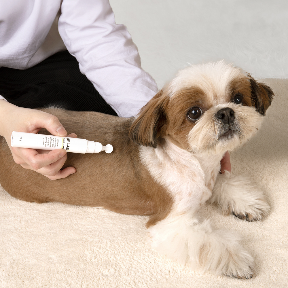 바이랩 스킨케어 강아지 피부 연고 보습제 피부병 까짐 습진 각질 로션 15ml, 1개