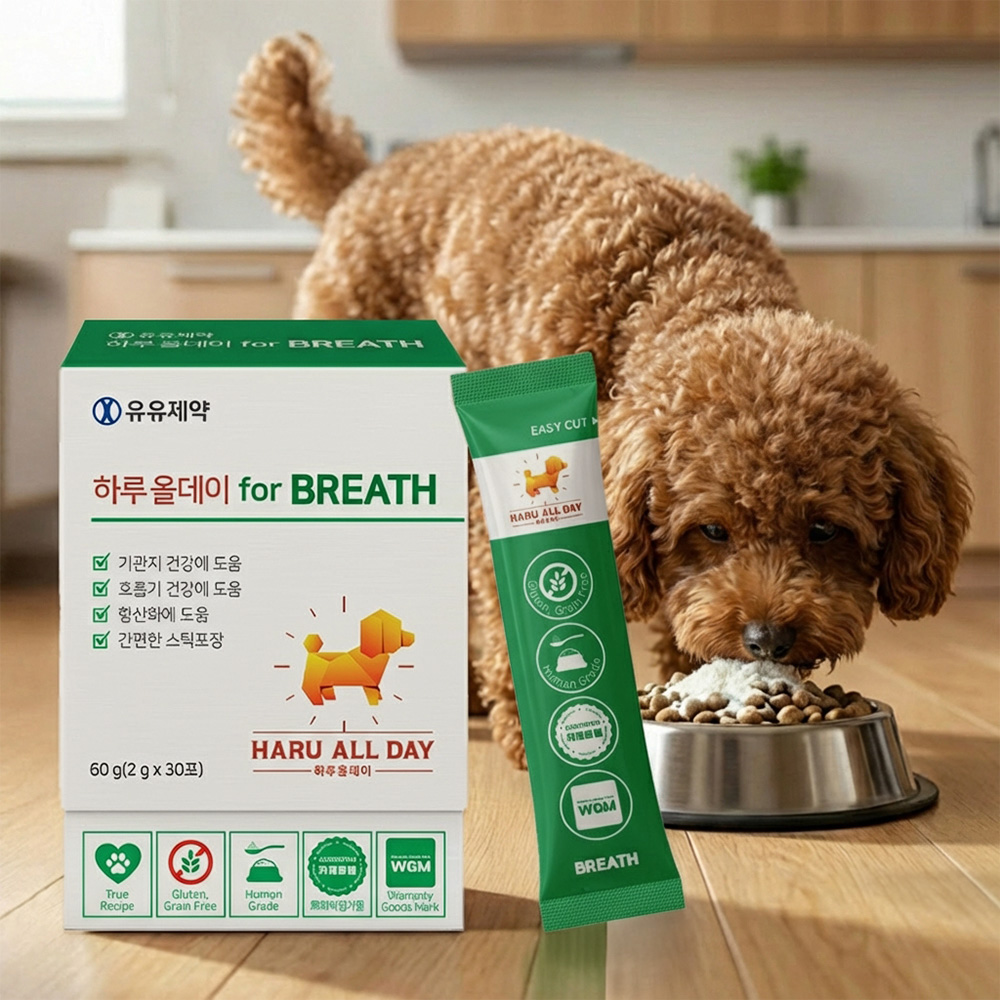 하루올데이 강아지 기관지 반려견 영양제 감기 협착증 카제로템