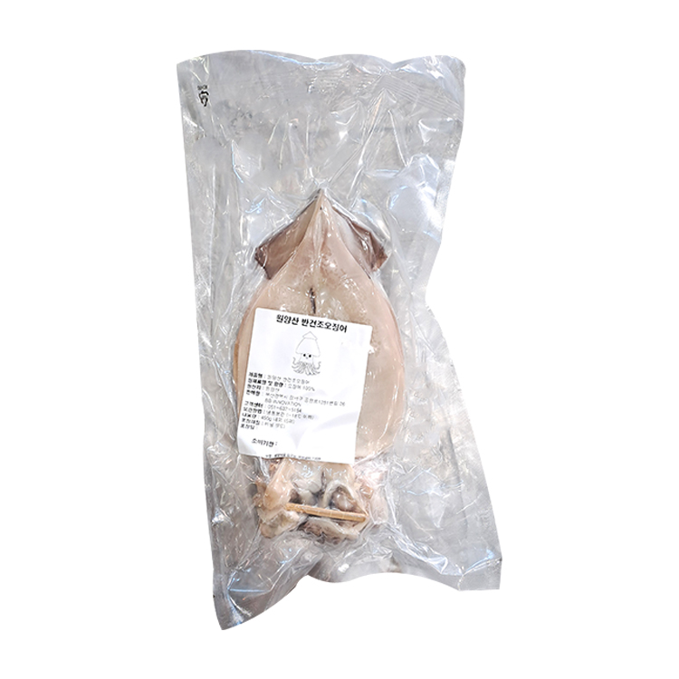 동해안 구룡포 반건조오징어 피데기 마른오징어 쫄쫄이 당일바리