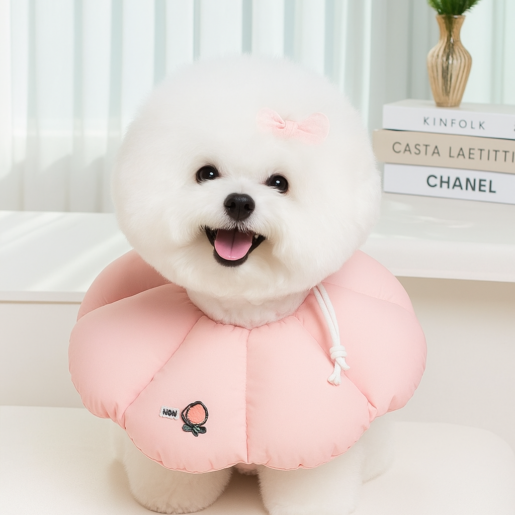 리치독스 강아지 넥카라 애견 고양이 깔대기 중성화 자수방수 S