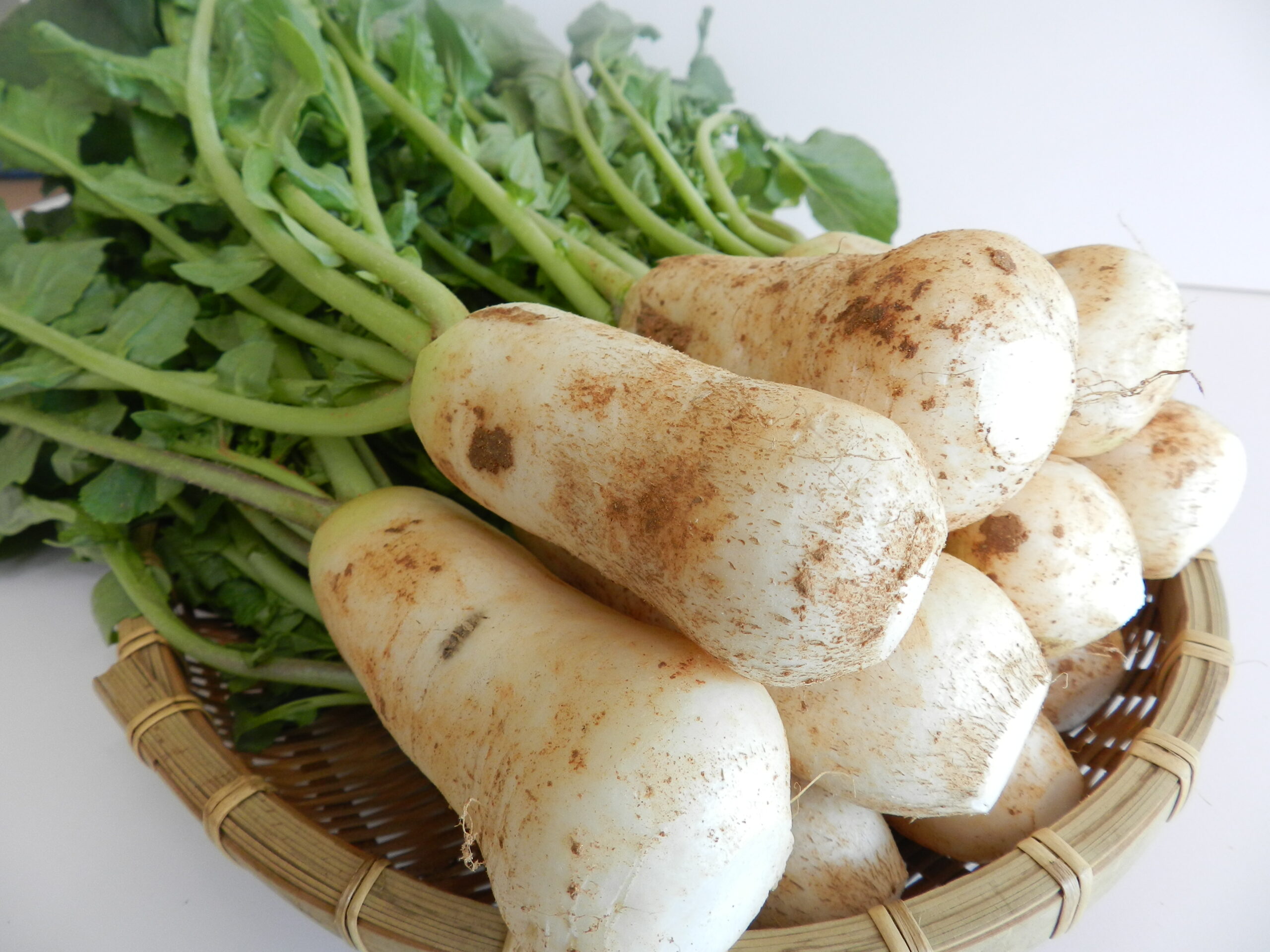 강원 고랭지 절임배추 절임알타리 원스톱쇼핑 해남 고랭지 영월-10kg 20kg