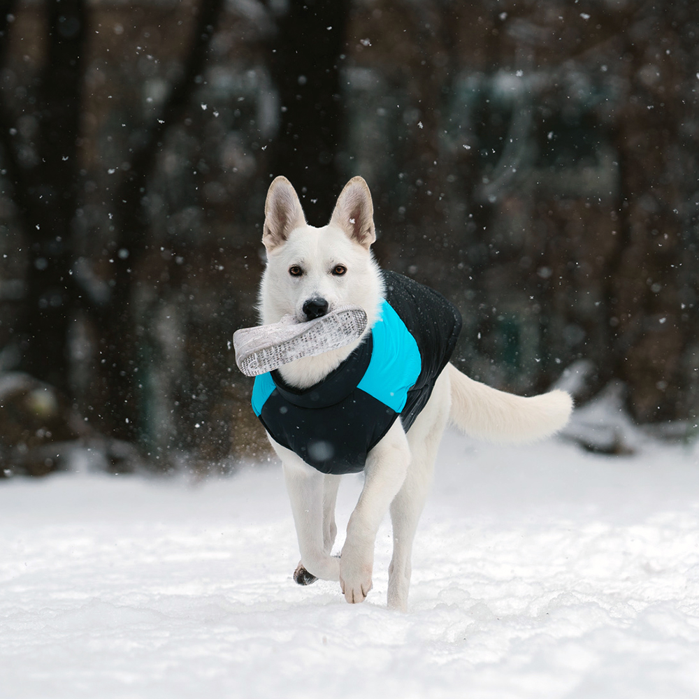 대형견패딩 강아지 패딩 조끼 경량 겨울옷 진돗개 5XL