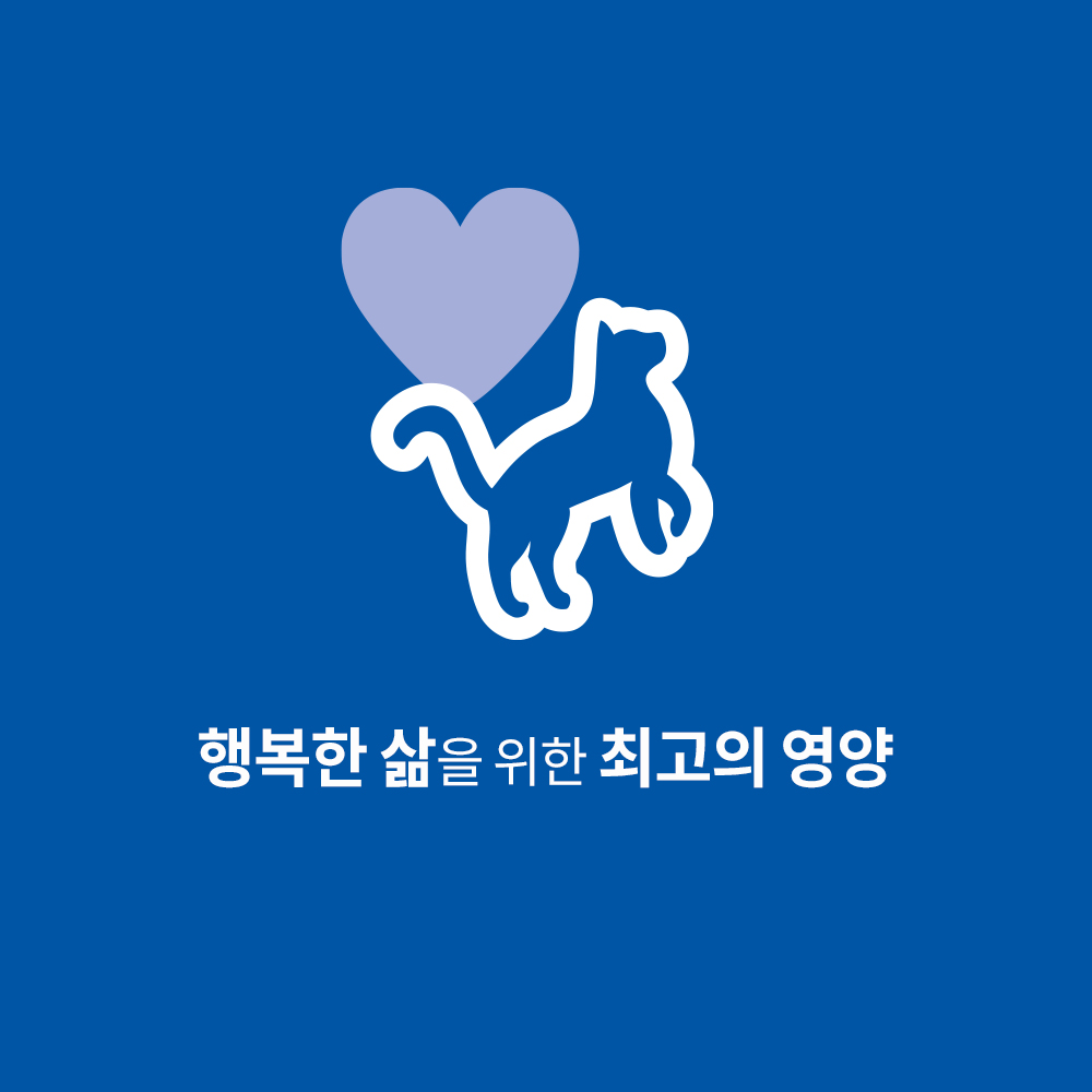 고양이에게 딱 맞는 건강한 사료, 힐스 어덜트 치킨 & 쌀 스튜 추천!