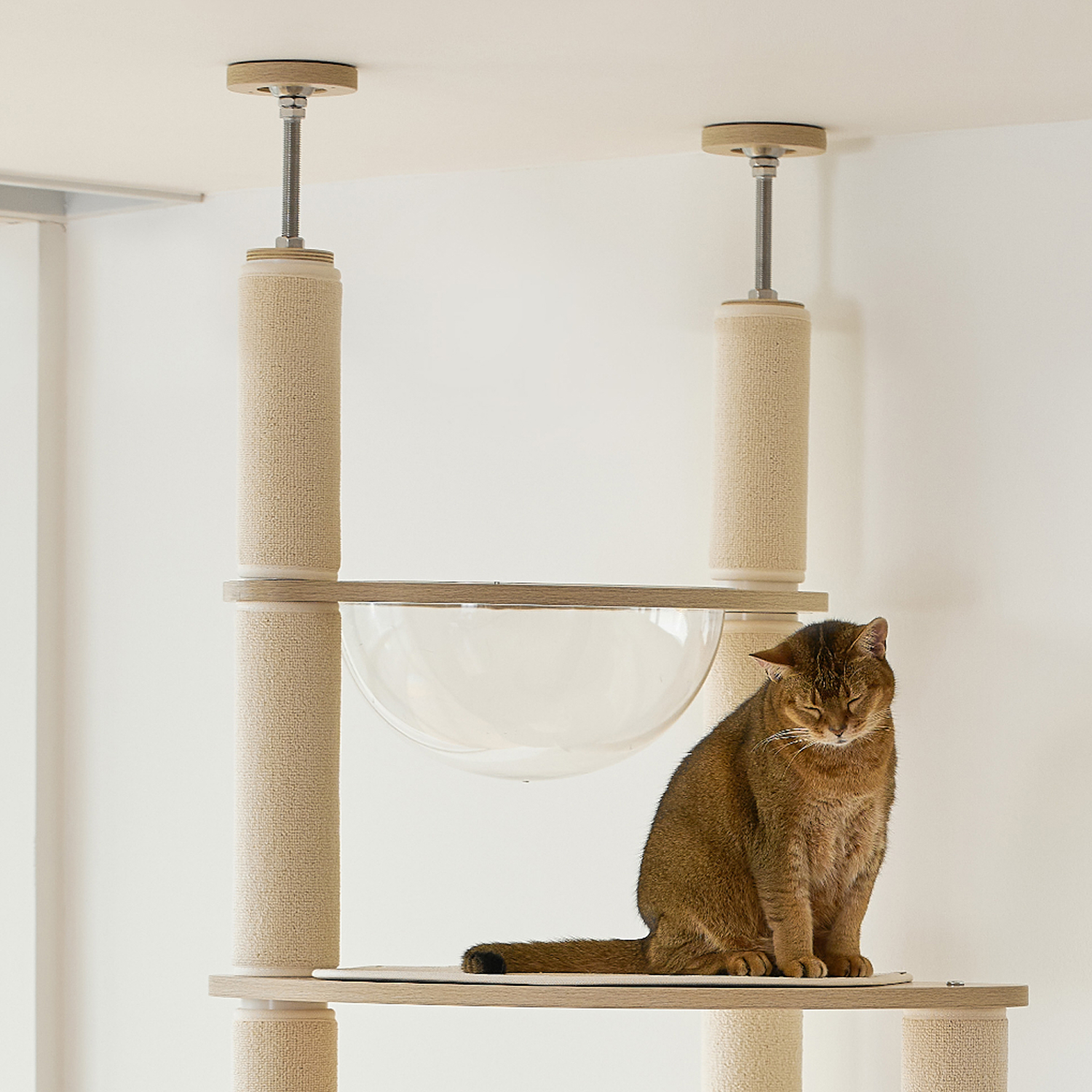 우리 집 고양이도 좋아하는 4단 캣타워, 스누즈T4로 놀아보세요!