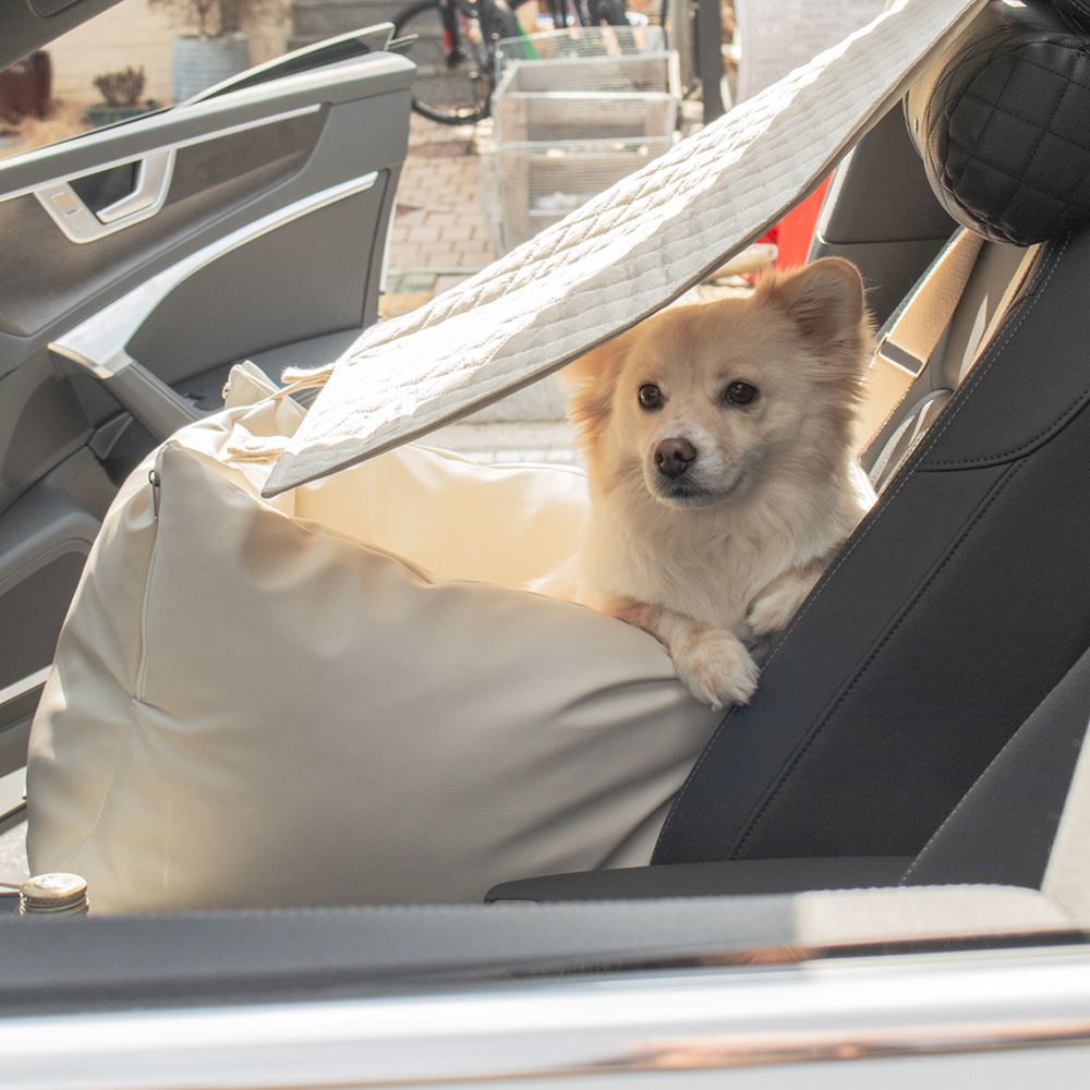 우리 강아지에게 딱 맞는 차량용 카시트 추천! 쉽고 편하게 선택하는 방법