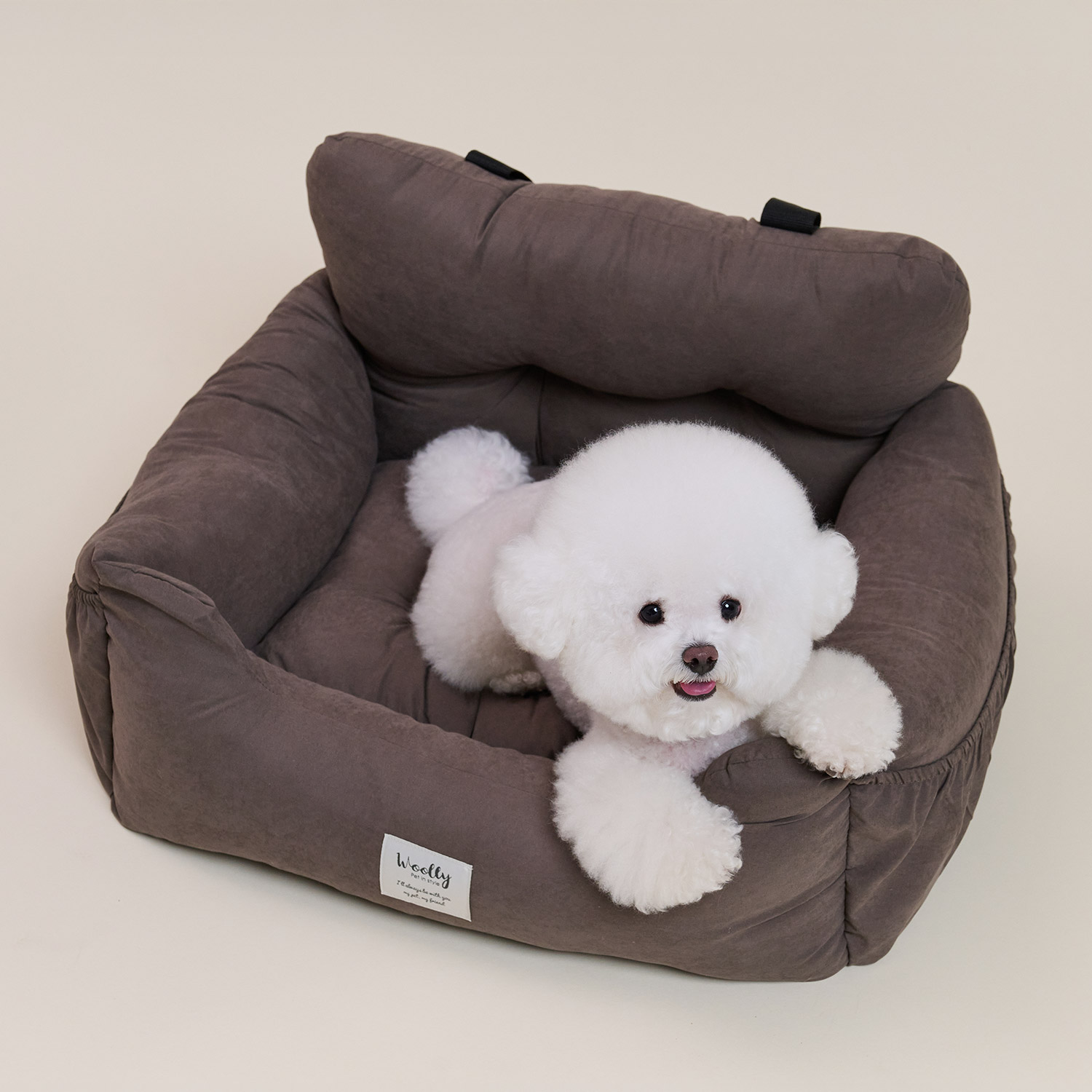 우리 강아지에게 딱 맞는 애견 카시트, 편안하고 안전하게!