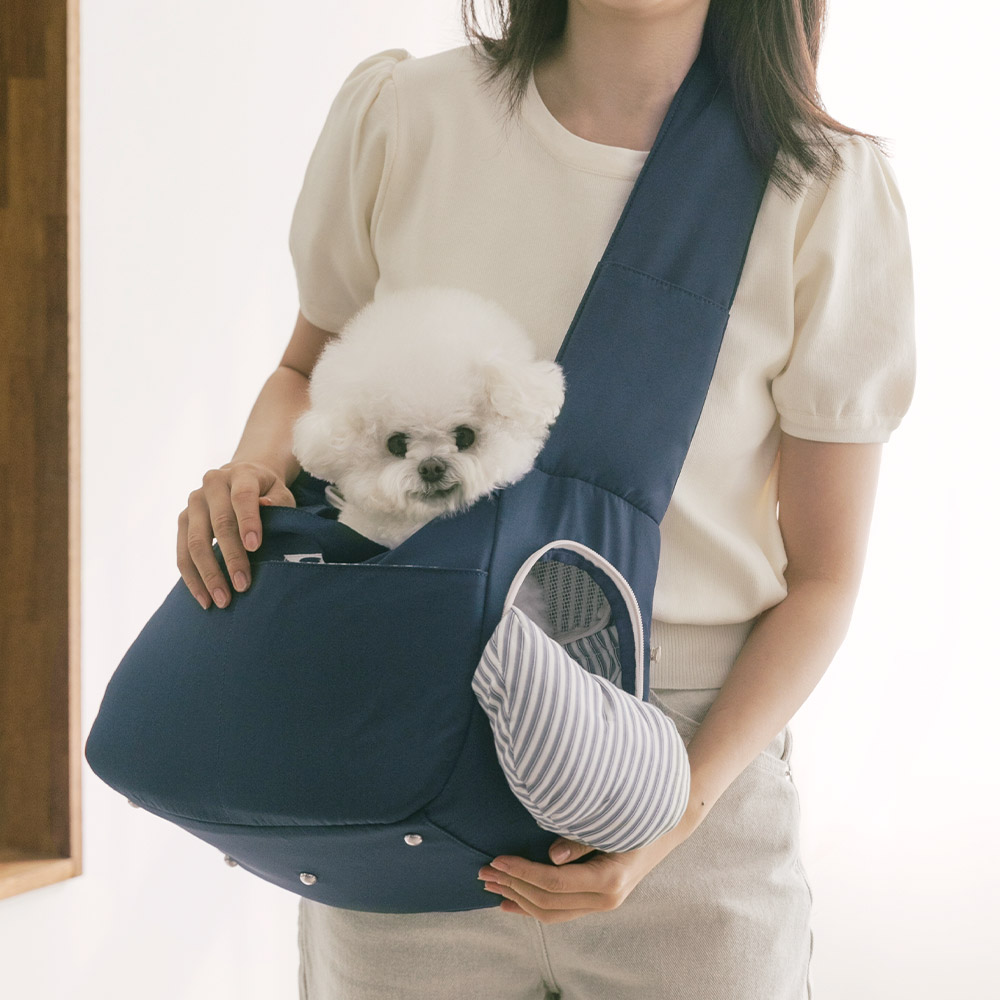 편하게 데리고 다닐 수 있는 강아지 이동 가방 추천