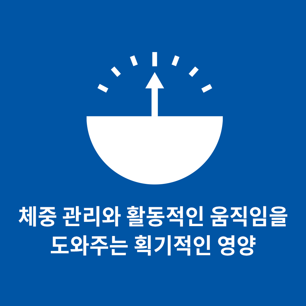 강아지 건강을 위한 최고의 선택, 퍼펙트 웨이트&조인트 서포트 사료 이야기