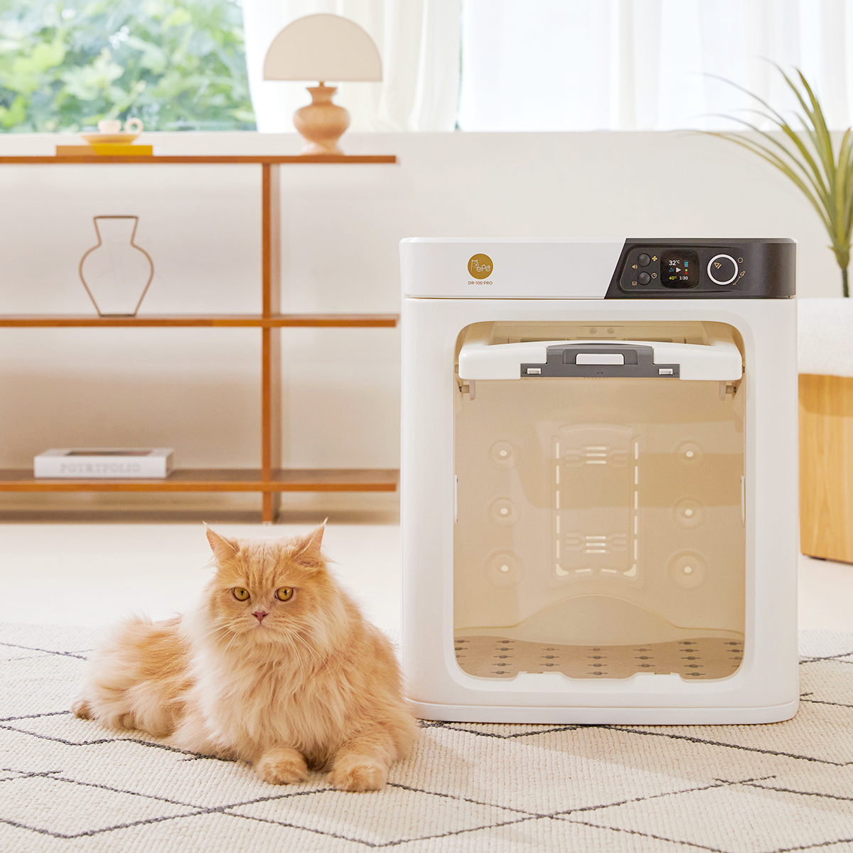 반려동물도 빠르고 따뜻하게 말려주는 친근한 펫 드라이룸 추천