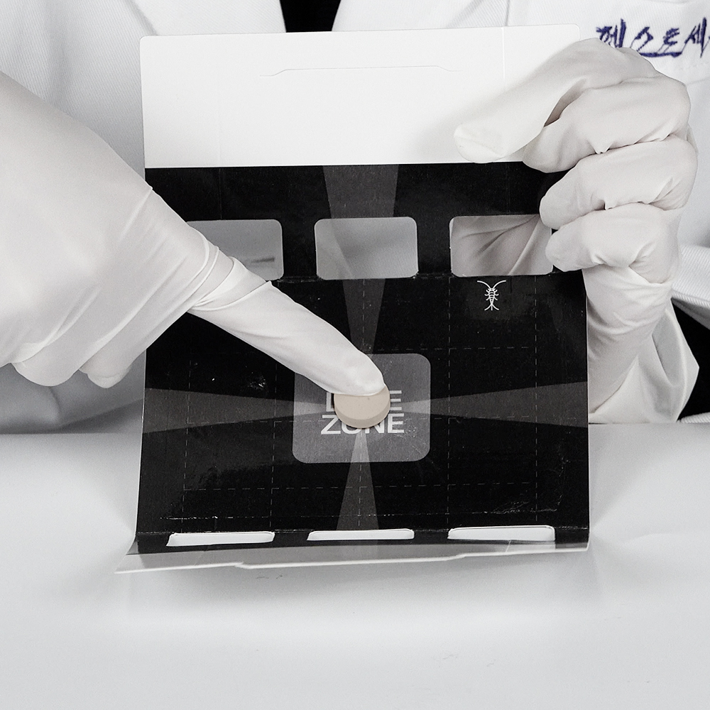 가정이나 옷장에서 벌레 걱정 끝! 간단하게 퇴치하는 방법 알려드릴게요