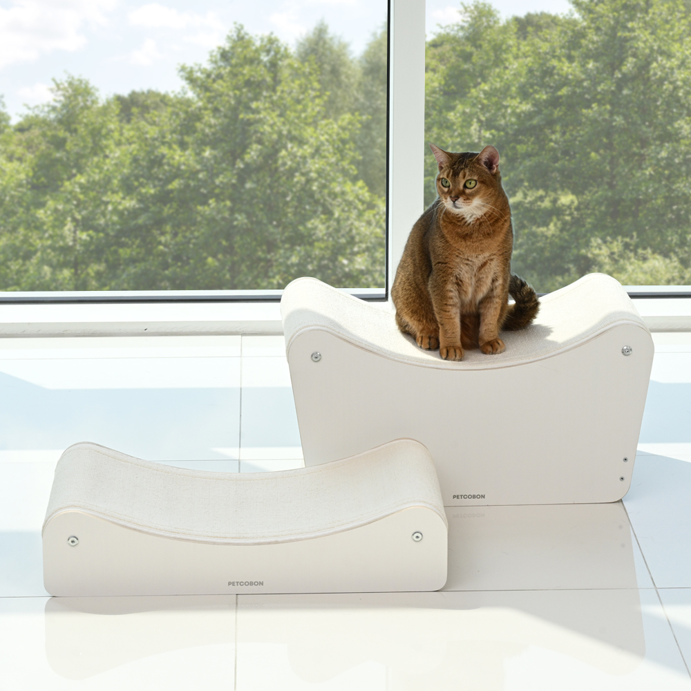 고양이들이 좋아하는 원목 스크래처와 교체 가능한 숨숨집 소파 추천