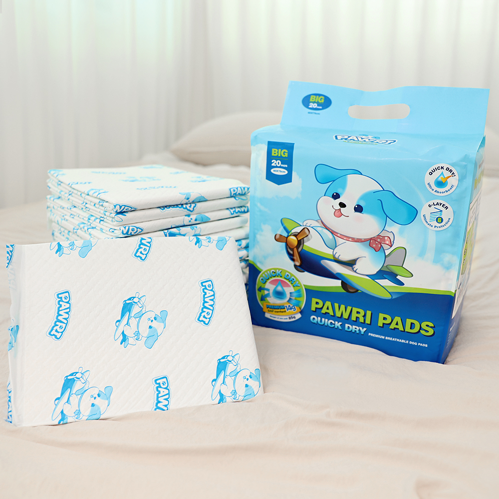 편리하고 흡수력 좋은 배변패드, 이렇게 선택하세요!