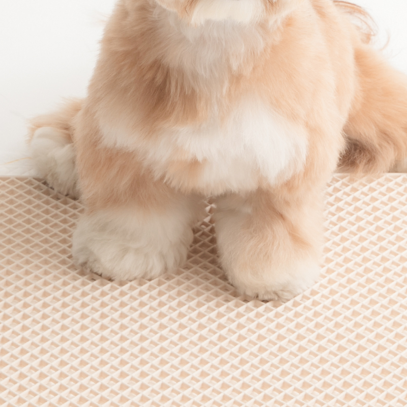 강아지 배변 훈련이 더 쉬워지는 실리콘 화장실 매트 추천!