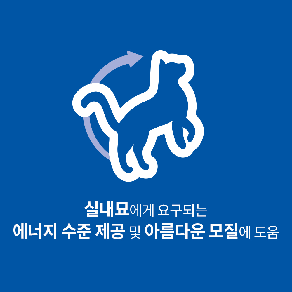 고양이 사랑하는 분들을 위한 힐스 어덜트 인도어 사료 추천!