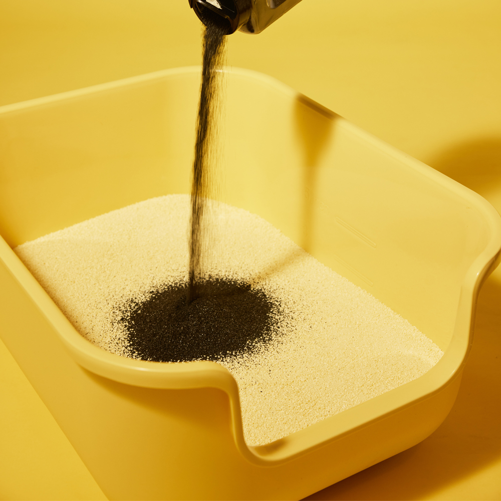 집에서도 쉽게 사용할 수 있는 천연 고양이모래 탈취제 추천!