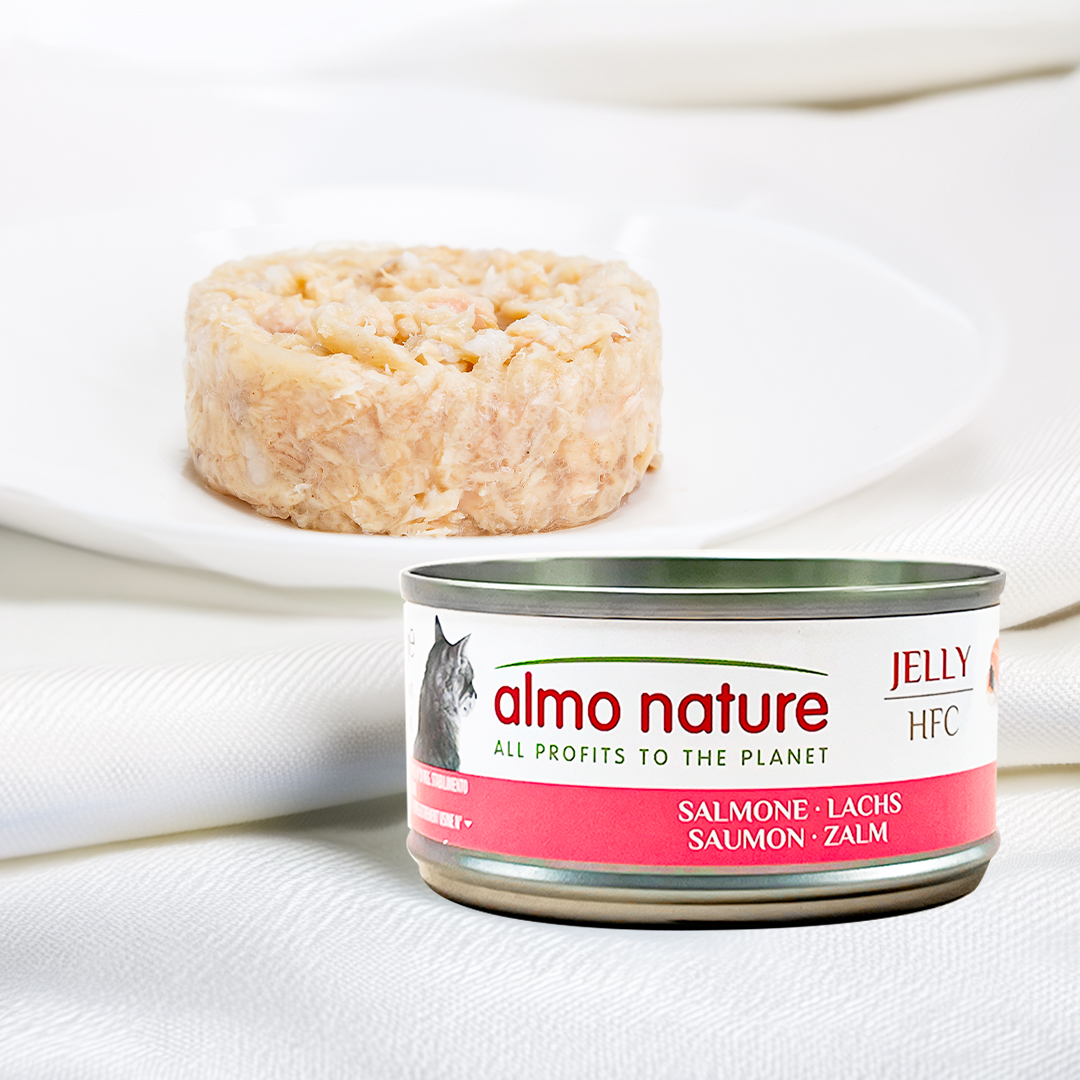 고양이에게 딱 맞는 습식사료, 알모네이쳐 HFC 참치캔을 소개할게요!