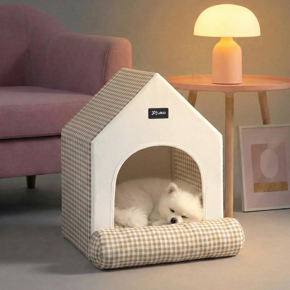 우리 강아지와 고양이도 좋아하는 아늑한 집, 한번 살펴보세요!