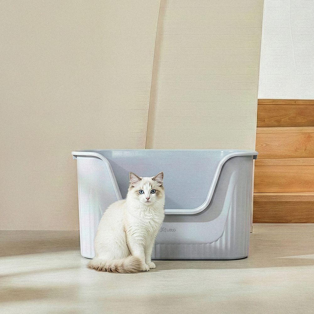 편리하고 넉넉한 크기의 고양이 화장실, 집에 딱 맞는 선택!