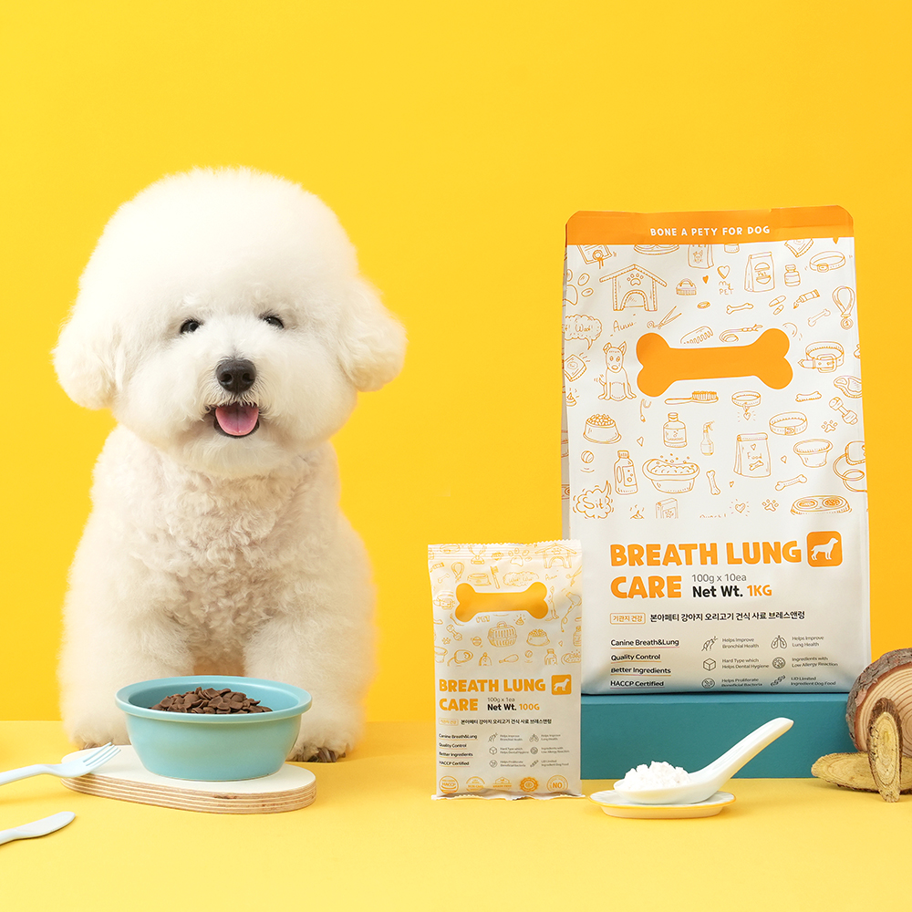 강아지 기관지 건강을 위한 맛있고 안전한 건식사료 추천