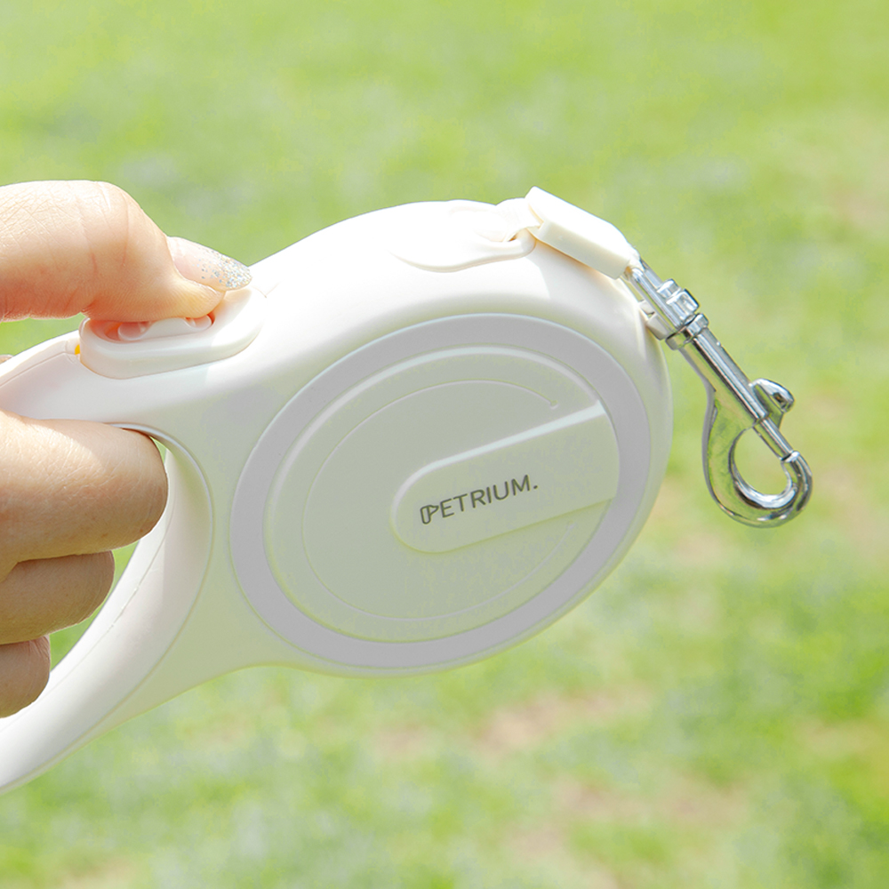 편리하고 안전한 강아지 산책을 위한 자동 리드줄 추천