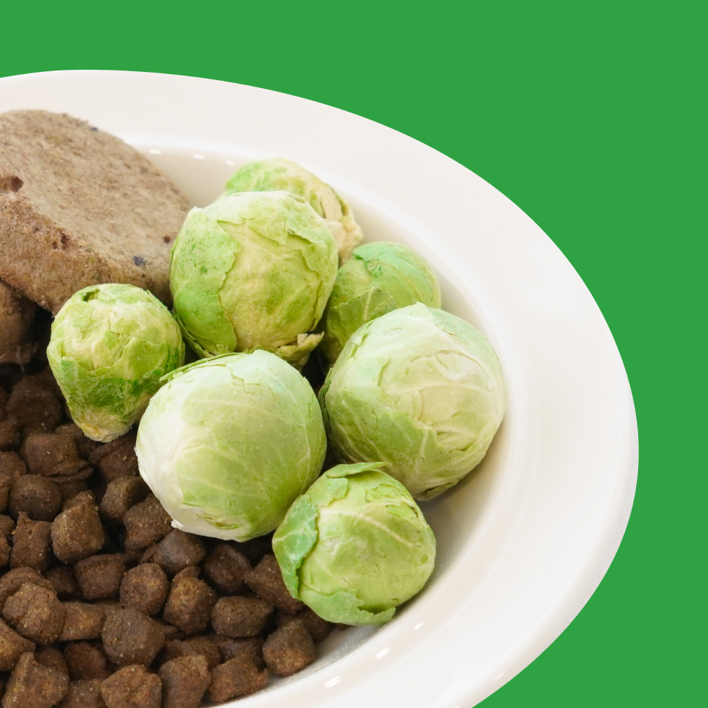 강아지 건강을 위한 맛있고 건강한 동결건조 야채 간식 추천!