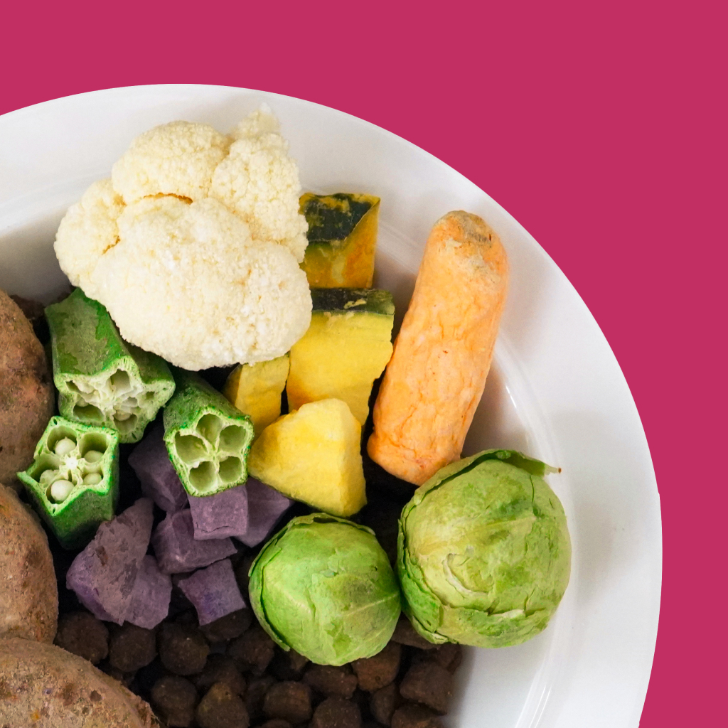 강아지 건강을 위한 저칼로리 채소 간식, 자연스럽게 챙기기!