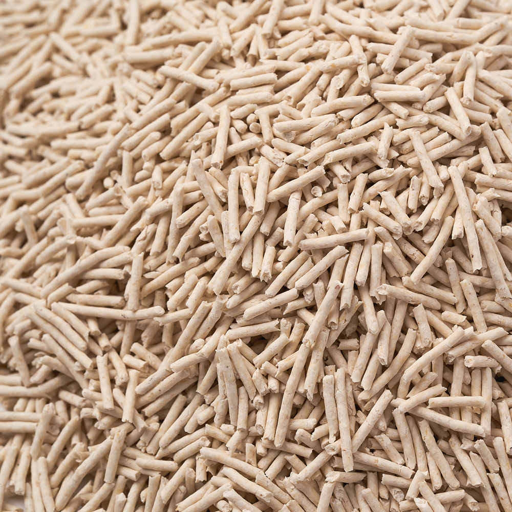 편리하고 깔끔한 두부모래, 집에서도 쉽게 관리하는 방법