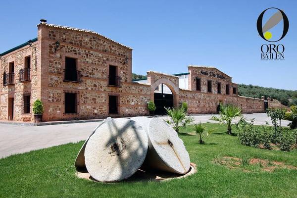 친근하게 즐기는 올리브오일, 오로바일렌과 박성옥 작가의 특별한 콜라보