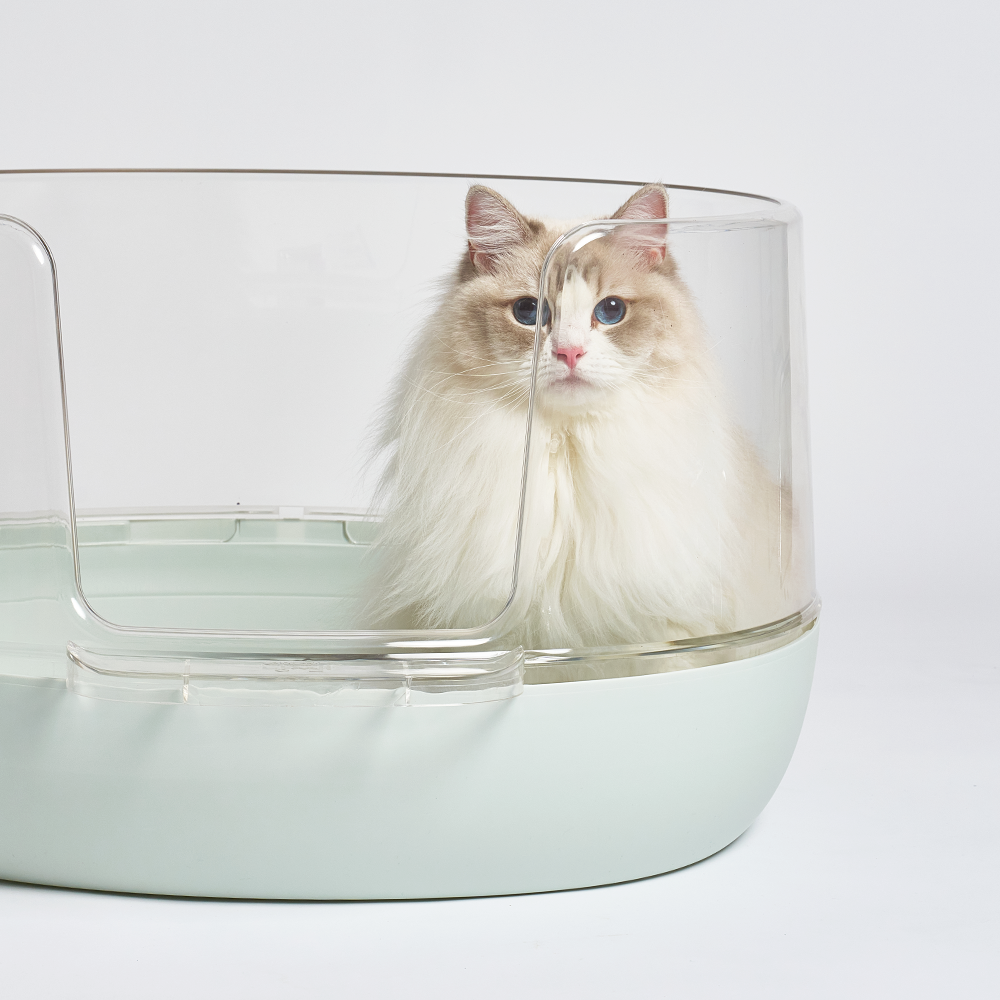 우리 집 고양이도 좋아하는 투명 배변통, 이렇게 선택했어요!