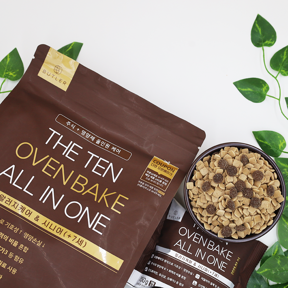 노견을 위한 건강한 선택! 올인원 알러지케어와 시니어 맞춤 사료 추천