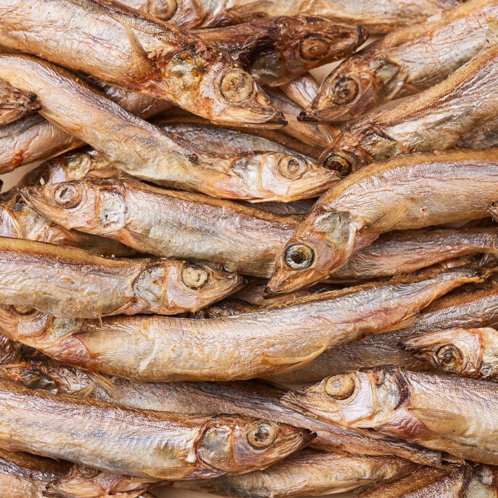 고양이 간식을 새롭게 즐기기! 대용량 동결건조 열빙어 트릿 추천