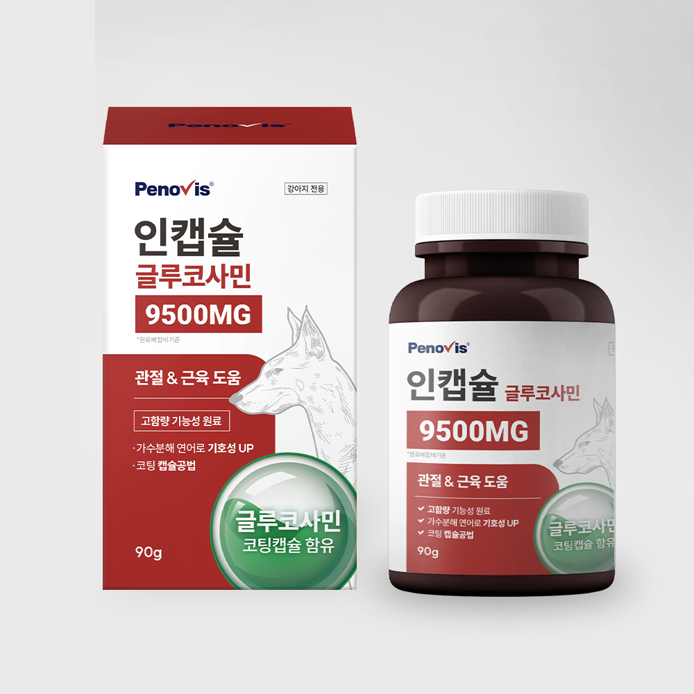 강아지 관절 건강을 위한 영양제, 이렇게 선택하세요!