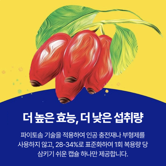 흡수력 9.6배 향상! 자연에서 찾은 베르베린 파이토솜으로 건강 챙기기