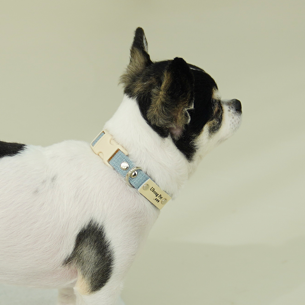 이름각인 순면 강아지 인식표 목줄 XS